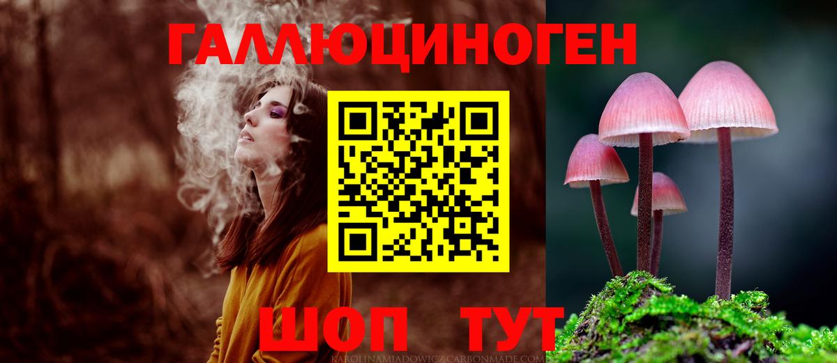 Киселёвск  Галлюциногенные грибы Magic Shrooms  Вход с VPN 
